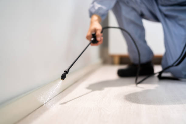Licensed Termite Control service in McLean County County, ND - Nex Pest Control