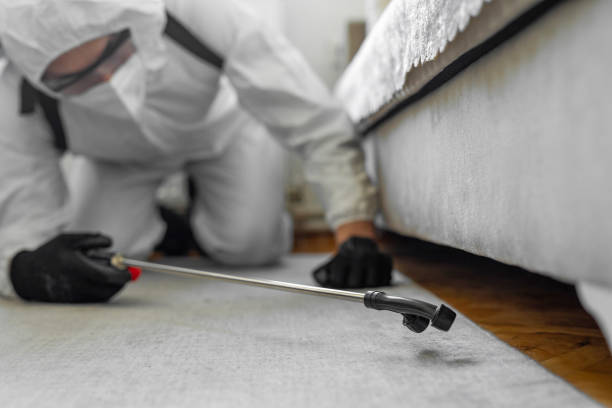 Professional Termite Control technician working in McLean County County, ND